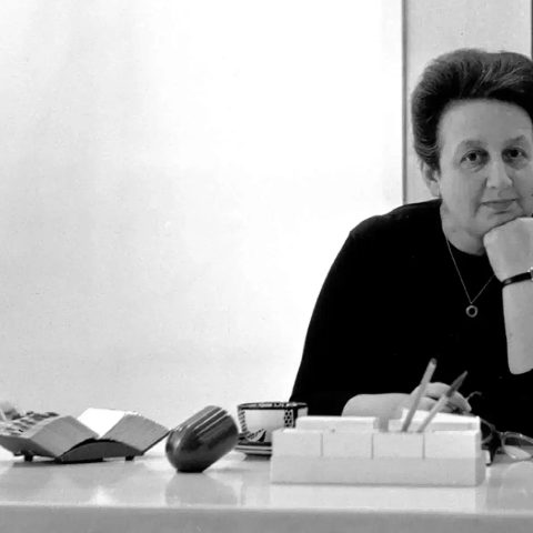 Ileana Sonnabend, Fireworks: la colección y las vanguardias