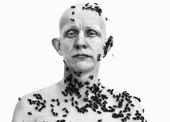 Richard Avedon. Ronald Fischer, apicultor, Davis (detalle)