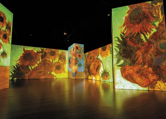 Experiencia Van Gogh. Next Museo, Roma